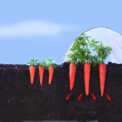 Kweekfolie / Tunnelfolie - 2 × 10 M 7 Kweekfolie / Tunnelfolie - 2 × 10 M -Tuin Series Winkel 1534088192 2 600