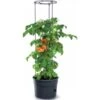 Tomaten Kweekpot Met Groeisteun - 12 Liter 2 Tomaten Kweekpot Met Groeisteun - 12 Liter -Tuin Series Winkel 1649410567 1 600