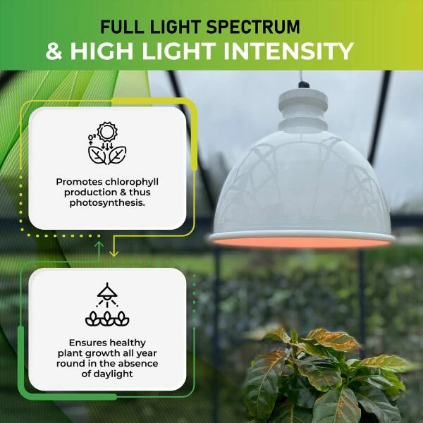 Groeilamp Led Florabooster 500 - 6,5W - Wit 6 Groeilamp Led Florabooster 500 - 6,5W - Wit - Afbeelding 4