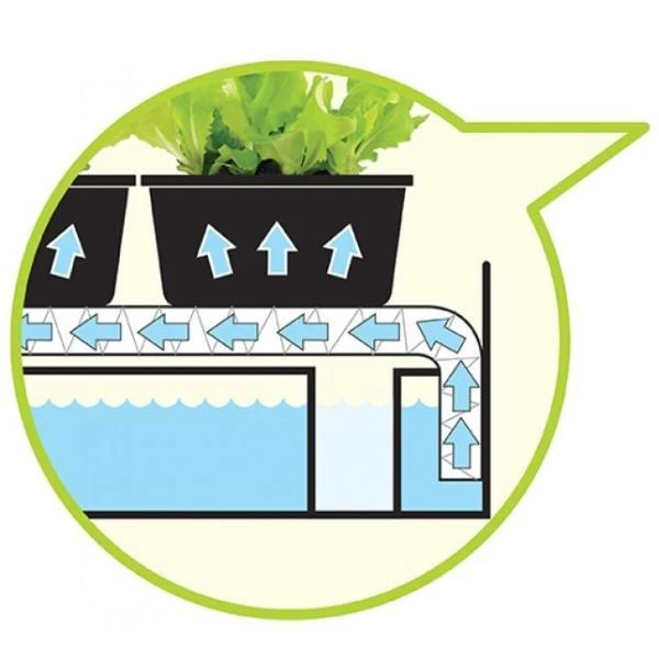 Bewateringstray + Vloeidoek 57 × 39 × 5 Cm 4 Bewateringstray + Vloeidoek 57 × 39 × 5 Cm - Afbeelding 2