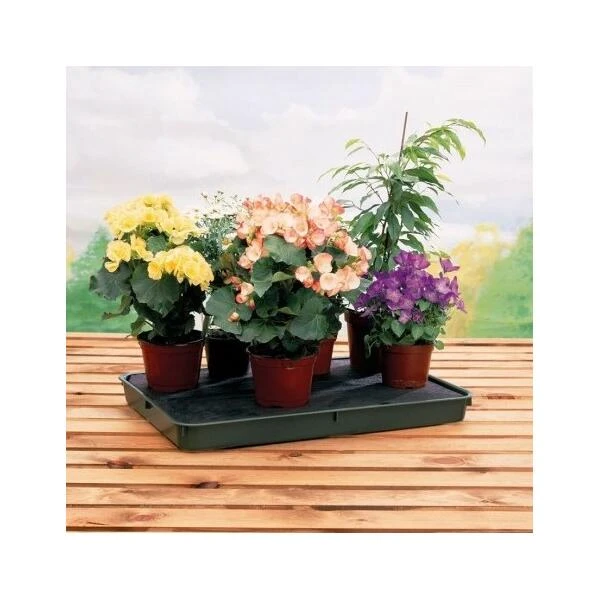 Bewateringstray + Vloeidoek 57 × 39 × 5 Cm 6 Bewateringstray + Vloeidoek 57 × 39 × 5 Cm - Afbeelding 4