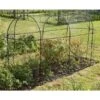 Fruitkooi Lang 3 × 1 × 1,5 M -Tuin Series Winkel fruitkooi 3 x 1 x 15m 1484054956 1 600