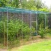 Fruitkooi Walk-in - 360 × 180 × 200 Cm -Tuin Series Winkel fruitkooi walkin 65 m 1678888704 1 600