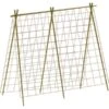Groeinet Bonen En Erwten 1,8 × 1,8 M 1 Groeinet Bonen En Erwten 1,8 × 1,8 M -Tuin Series Winkel groeinet bonen 18 x 18 m 1531226378 2 600
