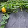 Gronddoek 2 M × 5 M (90 G/m²) -Tuin Series Winkel gronddoek 2 m x 5 m 100gm 1553159982 1 600