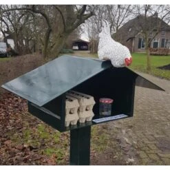 Nieuwsgierige Kip Tuinbeeld 11 Nieuwsgierige Kip Tuinbeeld -Tuin Series Winkel nieuwsgierige kip 1609930328 1 600