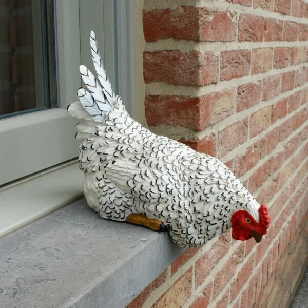 Nieuwsgierige Kip Tuinbeeld 3 Nieuwsgierige Kip Tuinbeeld