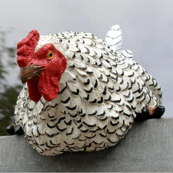 Nieuwsgierige Kip Tuinbeeld 4 Nieuwsgierige Kip Tuinbeeld - Afbeelding 2