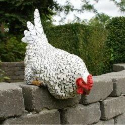 Nieuwsgierige Kip Tuinbeeld 9 Nieuwsgierige Kip Tuinbeeld -Tuin Series Winkel nieuwsgierige tafelkip 1568377839 3 600