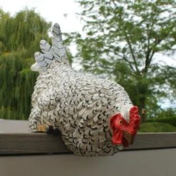 Nieuwsgierige Kip Tuinbeeld 10 Nieuwsgierige Kip Tuinbeeld -Tuin Series Winkel nieuwsgierige tafelkip 1568377840 5 600