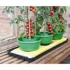 Plant- En Gietpot Groen - Set Van 3 Stuks -Tuin Series Winkel plant en gietpot 1484054799 1 600