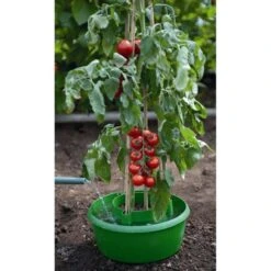 Plant- En Gietpot Groen - Set Van 3 Stuks -Tuin Series Winkel plant en gietpot 1484054799 4 600