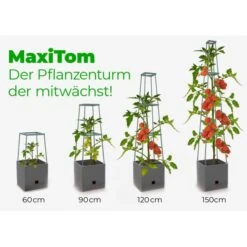 Plantentoren Maxitom Met Waterreservoir - Antraciet -Tuin Series Winkel plantentoren maxitom antraciet 1677571236 4 600