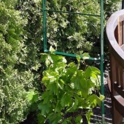 Rozenboog Massief Met Klimhulp 150 × 40 × 230 Cm 10 Rozenboog Massief Met Klimhulp 150 × 40 × 230 Cm -Tuin Series Winkel rozenboog massief klimhulp 150 x 40 x 230 cm 1559385625 1 600