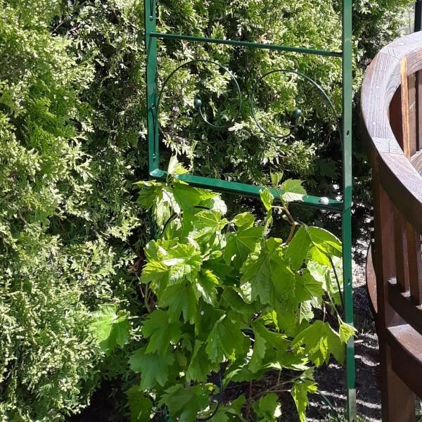 Rozenboog Massief Met Klimhulp 150 × 40 × 230 Cm 5 Rozenboog Massief Met Klimhulp 150 × 40 × 230 Cm - Afbeelding 3