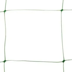 Klimgaas Erwten En Bonen 2m × 10 M -Tuin Series Winkel steungaas klimgaas 2 x 10 meter 1484065488 1 600