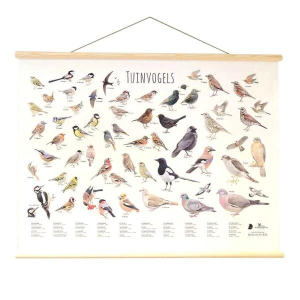 Wanddoek Tuinvogels 3 Wanddoek Tuinvogels