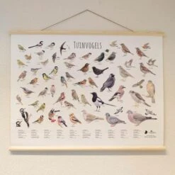 Wanddoek Tuinvogels 7 Wanddoek Tuinvogels -Tuin Series Winkel wandkaart tuinvogels 1541600712 1 600